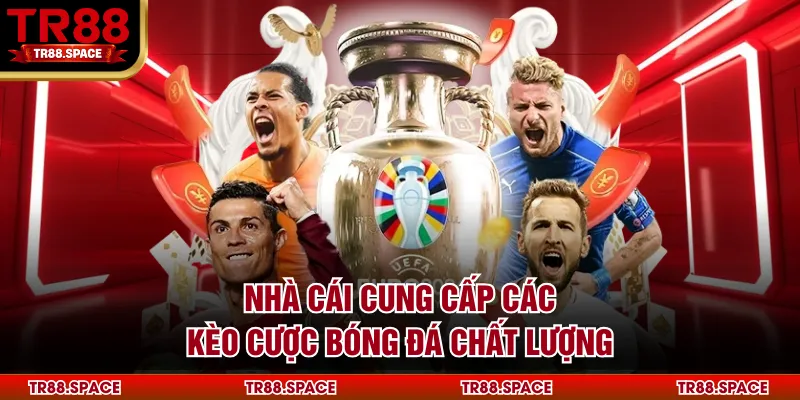 Nhà cái cung cấp các kèo cược bóng đá chất lượng